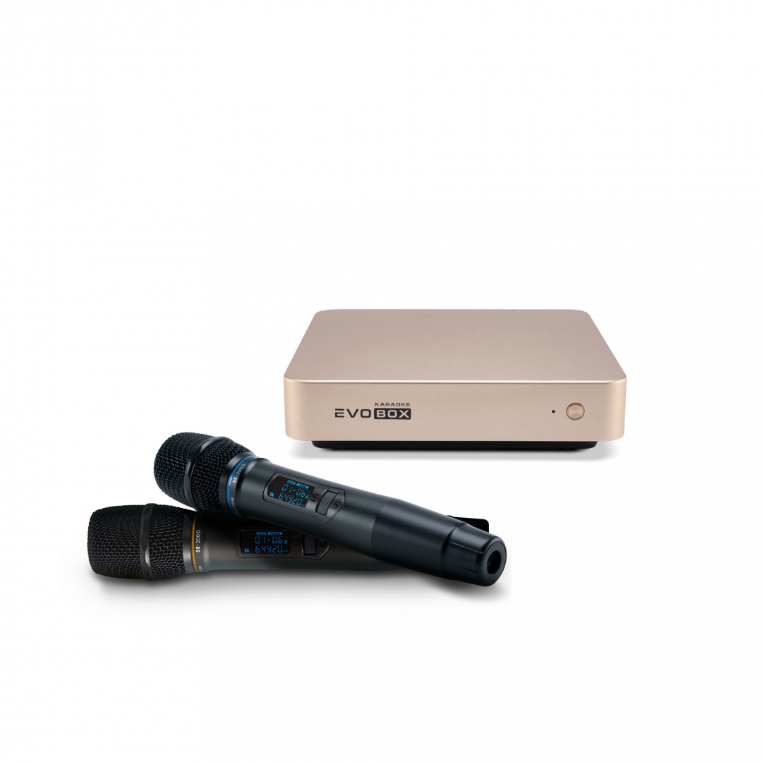 EVOBOX с микрофонами в Северобайкальске