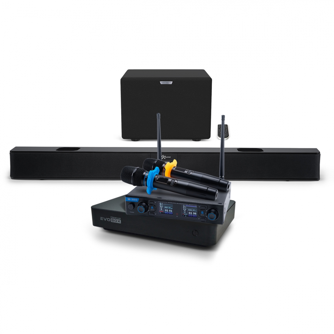 Hi-End караоке-система EVOBOX Premium + EvoSoundBar (саундбар с караоке) в Северобайкальске