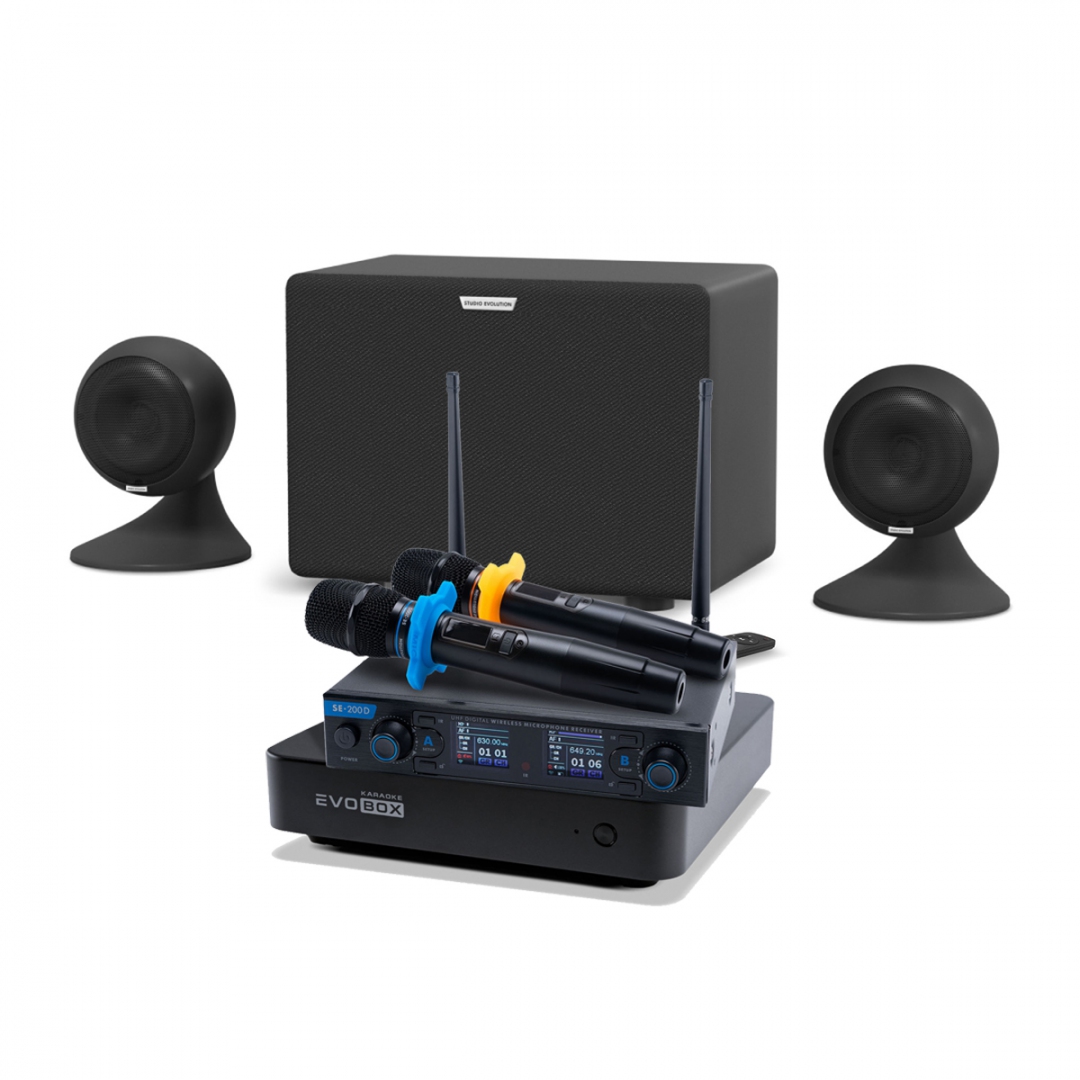 караоке-комплект EVOBOX + EvoSound Sphere 2.1 в Северобайкальске