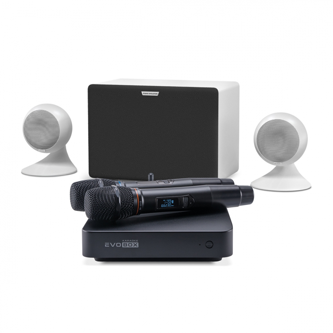 караоке-комплект EVOBOX Classic + EvoSound Sphere 2.1 в Северобайкальске