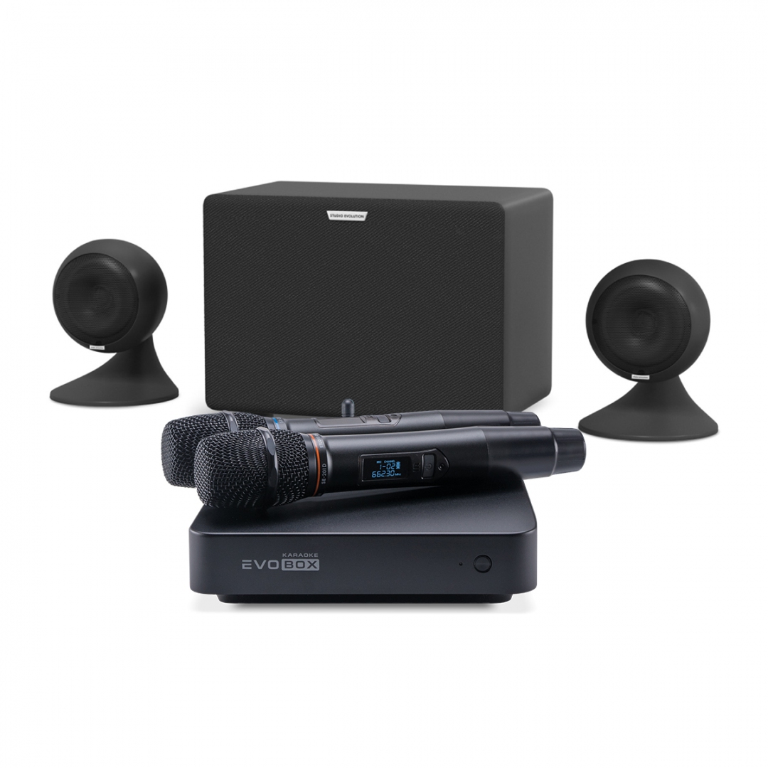 караоке-комплект EVOBOX Plus + EvoSound Sphere 2.1 в Северобайкальске