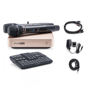 EVOBOX Plus караоке-система для дома в Северобайкальске