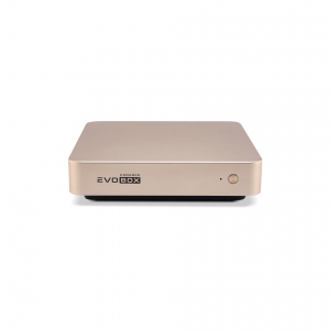 EVOBOX с микрофонами в Северобайкальске